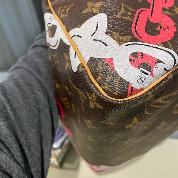 Louis Vuitton Speedy Limited Edition - Picture 10 of 14